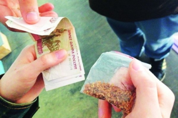 Войти на кракен