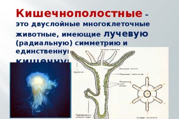 Кракен сайт нарк