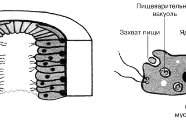 Ссылка на кракен даркнет