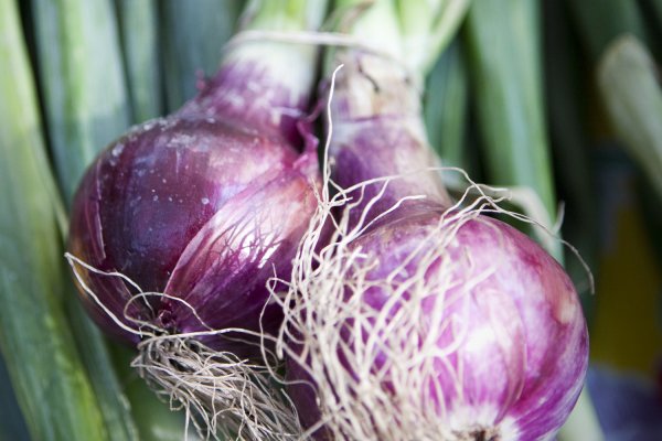 Http krmp.cc onion shops