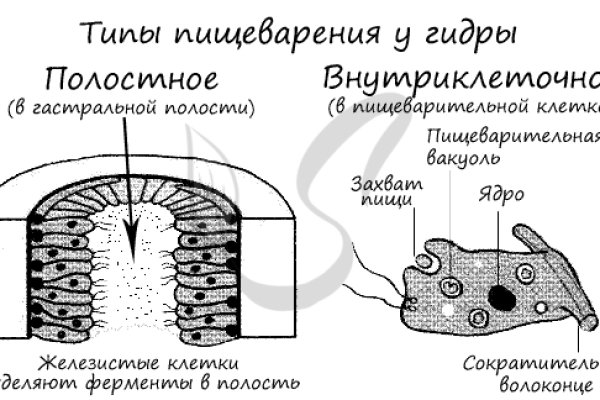 Как зайти на kraken в 2024