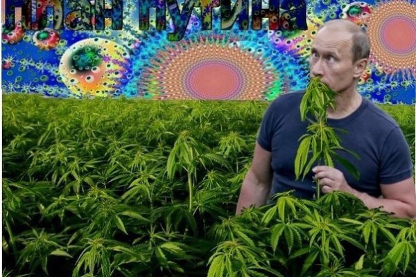 Как найти актуальную ссылку на кракен