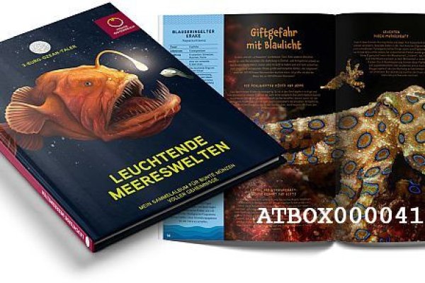 Как найти настоящую кракен даркнет ссылку