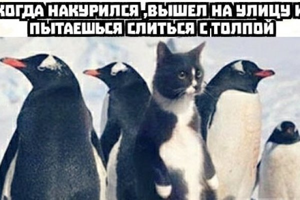 Кракен перестал работать
