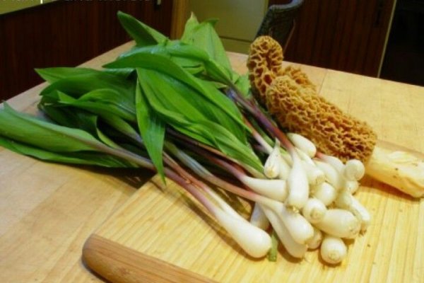 Кракен тор ссылка сегодня