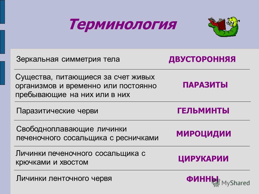 Кракен маркет даркнет только через стор